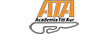 Academia Titi Aur logo cumpara conducere defensiva, cursuri auto, scoala conducere si castiga bani online