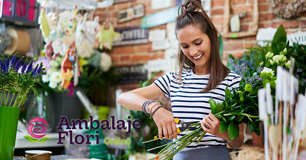 Ambalaje Flori Online cashback - cumpara colofan, hartie, cutii flori, cosuri ambalaje, decor si castiga bani online