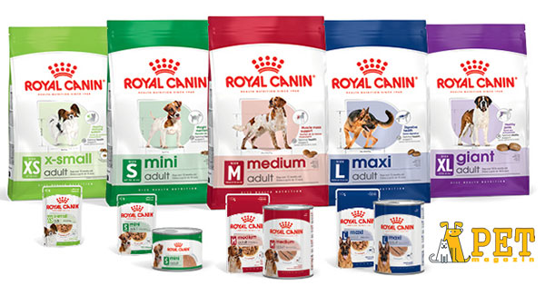 Petmagazin cashback - cumpara hrana si accesorii pentru caini si pisici si castiga bani online